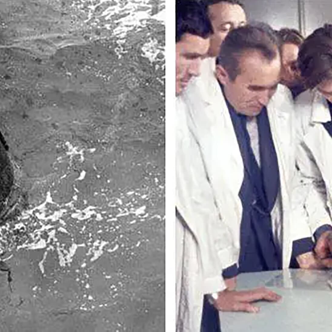 The first earthlings to the moon weren’t humans. They were tortoises.